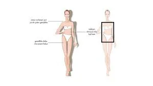 Giyim ve Vücut Tipi Analiz Yeteneği