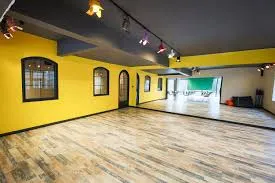 Stüdyonun Sanatsal Etki ve İtibarı