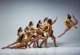 Ürün yelpazesinin genişliği ve çeşitliliği