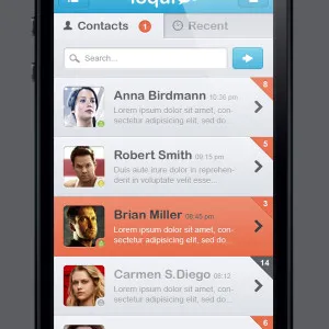 Cross-Platform Geliştirme Kapasitesi 