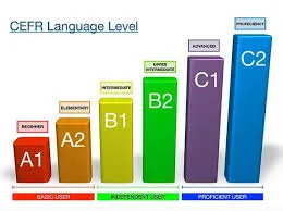 Dil Seviye ve Program Çeşitliliği